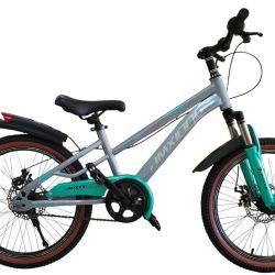 BMX 20 GREY.BLUE